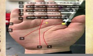 如何看手纹(如何看手纹算命)-命理之家