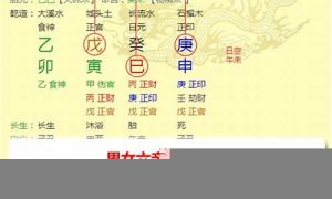 如何解八字(如何解八字排盘)-命理之家