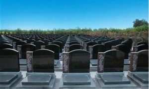 如何挑选墓地(如何挑选墓地石狮子)-命理之家