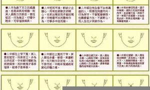 如何看面相算命图解(如何看面相算命图解 男人)-命理之家
