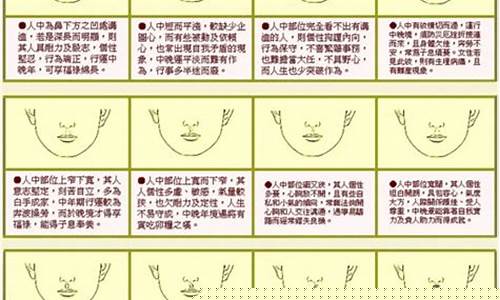 如何看面相算命图解(如何看面相算命图解 男人)-命理之家