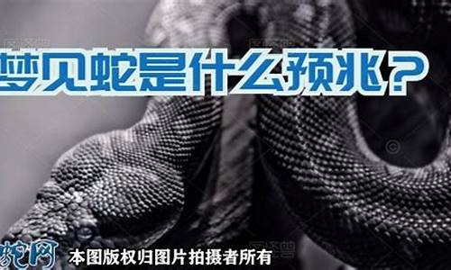 梦到蛇是什么预兆(梦见杀蛇是什么预兆)-命理之家