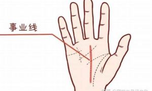 事业线如何看(事业线如何看事业的好坏)-命理之家