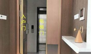 大门对电梯门如何化解(大门对电梯门如何化解挂八卦镜可以吗)-命理之家