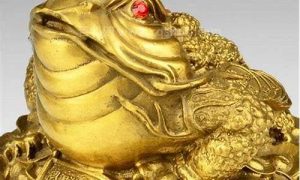 金蟾如何供奉(金蟾如何供奉最好)-命理之家