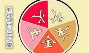 如何看五行缺什么(如何看五行缺什么免费)-命理之家