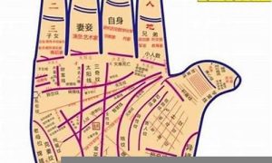 如何看财运(如何看财运好不好)-命理之家