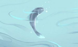 梦到鱼和水预示着什么(梦到鱼和水预示着什么女)-命理之家