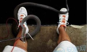 梦到被蛇咬了(梦到被蛇咬了男性)-命理之家