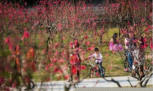 图片[1]-如何化解桃花劫(女人桃花劫会发生什么)-命理之家