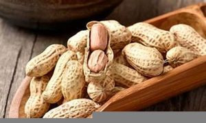 梦到花生(梦到花生预示着什么)-命理之家