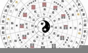 如何看五行(如何看五行喜什么)-命理之家