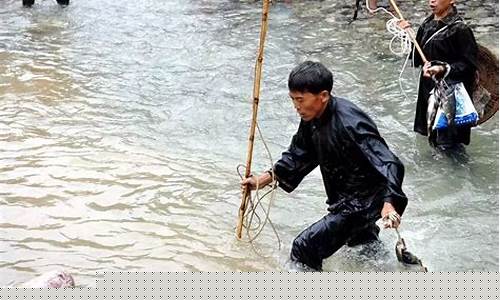 图片[1]-做梦梦到抓鱼(做梦梦到抓了好多鱼是什么意思周公解梦)-命理之家
