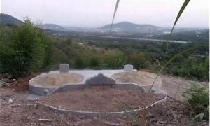 如何看阴宅(如何看阴宅风水最好的方法)-命理之家