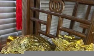 龙龟如何摆放(龙龟如何摆放头朝哪里)-命理之家