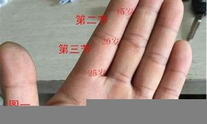 如何看手相算命(如何看手相算命图解 男人右手)-命理之家