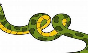 梦到打蛇(男人梦见打蛇是什么意思)-命理之家