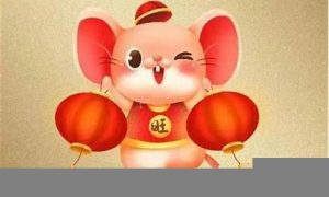 今年鼠年财运如何(今年鼠年的人命运如何)-命理之家