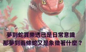 ﻿梦到蛇-命理之家