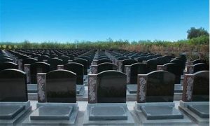 如何选墓地(如何选墓地朝向)-命理之家