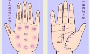 如何看手相-命理之家