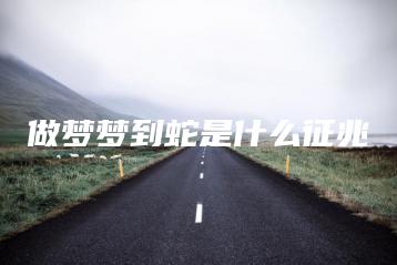 做梦梦到蛇是什么征兆-命理之家