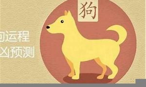 属狗遇鸡年运势如何(属狗遇鸡年运势如何呢)-命理之家