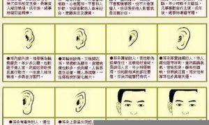 耳朵型看命运如何(耳朵形状算命)-命理之家