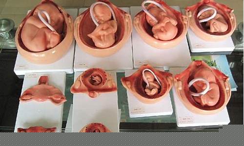 图片[1]-梦到怀孕生孩子是什么意思(晚上做梦梦到怀孕生孩子是什么意思)-命理之家