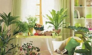 家里花如何摆放(家里怎样摆放花好)-命理之家