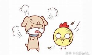 4月的狗性格命运如何(四月份的狗是什么星座)-命理之家