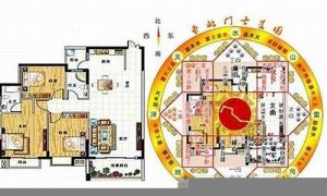 如何看自己家的风水(如何看自家风水)-命理之家