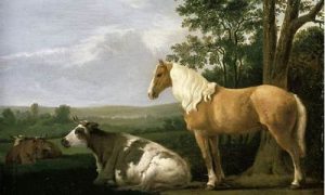 马配牛如何(马牛相配吗)-命理之家