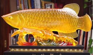 招财龙鱼如何摆放(招财龙鱼放在家里什么位置)-命理之家