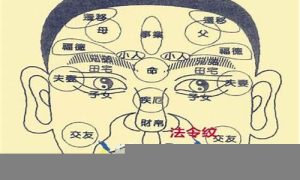 蛇面相如何(蛇身人面像)-命理之家