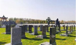 如何购买墓地(购买墓地的要求)-命理之家