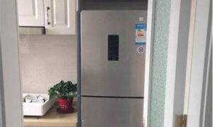 进门看见冰箱如何化解(进门见冰箱风水好吗 进门见冰箱化解方法)-命理之家