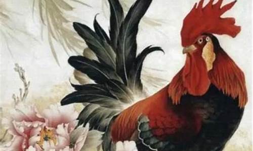 图片[1]-属鸡的女人如何(属鸡的女人旺不旺夫)-命理之家