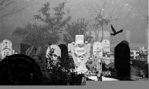 梦到很多坟墓(梦到很多坟墓被挖开了是什么意思)-命理之家