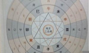 如何看身宫(如何看身宫胎元)-命理之家