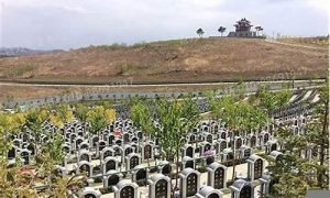 选择墓地如何看风水(选墓地如何看风水方向)-命理之家