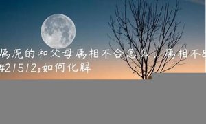 属相不合如何化解(属相不合如何化解婚姻)-命理之家