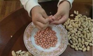 梦到吃花生(女人梦见剥带壳的花生吃)-命理之家