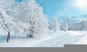 梦到雪(梦到雪是什么征兆)-命理之家