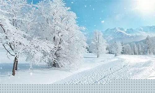 梦到雪(梦到雪是什么征兆)-命理之家
