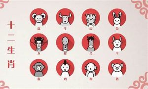 夫妻生肖相冲如何化解(夫妻生肖相克相冲表)-命理之家