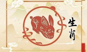 属兔正月出生命运如何(属兔正月份出生好不好)-命理之家