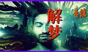 梦到明星(梦到明星加我微信)-命理之家