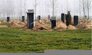 破坏坟墓如何处理(破坏坟墓应该给怎样的赔偿)-命理之家