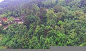 螃蟹地势风水如何(螃蟹地阳宅风水)-命理之家